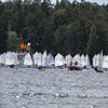 JSM i Optimist. Foto Malcolm Hanes