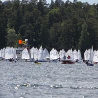 JSM i Optimist. Foto Malcolm Hanes