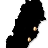Karta