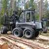 Logset på skogsmässa
