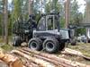 Logset på skogsmässa