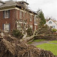 Call 1-800-TREESERVICE for help.