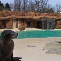 Active Oceans at Blackpool Zoo 