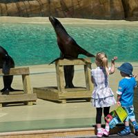 Active Oceans at Blackpool Zoo