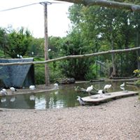 Inside the new aviary