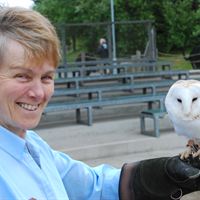 Owl training 