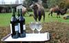 Really Wild Wine