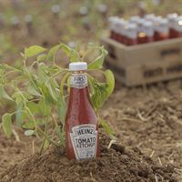 Miljöbild Heinz First Harvest
