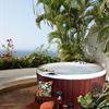 Coleman Spas Patio Series