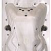 Coleman 14-Foot Fitness Spa