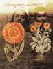 Image for "Latina/o Visual Imaginary: Intersection of Word & Image" in Albuquerque