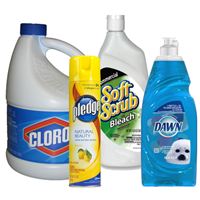 Sinful Cleaners