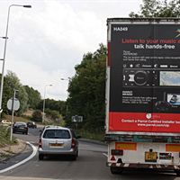 Haulinads Parrot Campaign