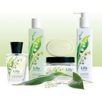 Lily of the Valley