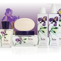 Iris 