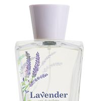 Lavender Eau de Toilette