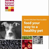 Free Health Booklet