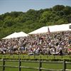Steeplechase 