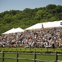Steeplechase 