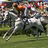 Steeplechase