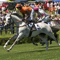 Steeplechase