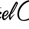 Pretzel Crisps Logo