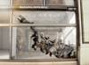 Banan Republic Window by Ushida Findlay and Visitor Studio