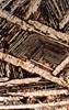 Komatiite section photomicrograph