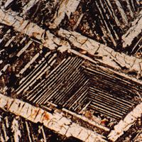 Komatiite section photomicrograph