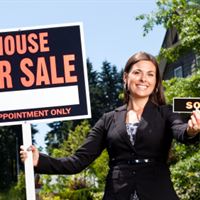 Real Estate Professional