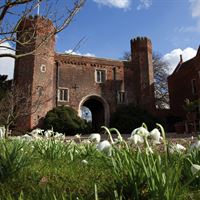 Snowdrop Garden - Hodsock Priory