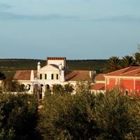 Dorte og Karsten Larsens portugisiske olivenfarm