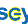 The Casey Group logo