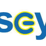 The Casey Group logo
