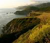 California's Central Coastline near Cambria, CA
