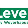 iLevel Logo