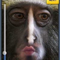 free apps