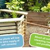 RAIN GARDEN KITS