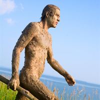 Prehistoric man 