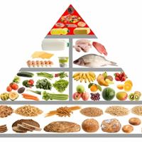Food pyramid