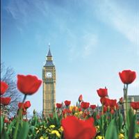 Trafalgar AWS Spring