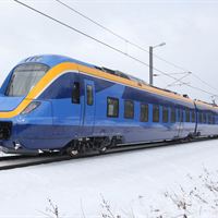 IMG_7903a