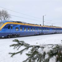 IMG_7964a