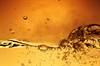 Biofuel photo