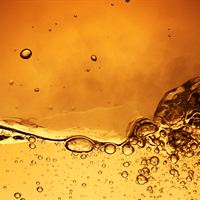 Biofuel photo