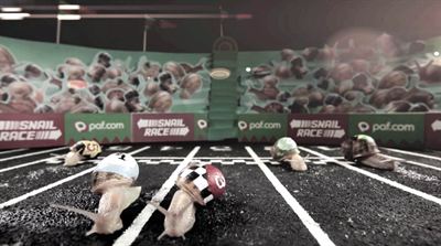 Paf Snail Race 1