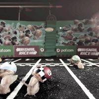 Paf Snail Race 1