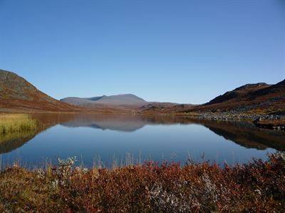 Vinn ett eget fiskevatten (www.paf.com/fiskevatten)