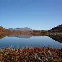 Vinn ett eget fiskevatten (www.paf.com/fiskevatten)