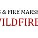 Texas Wildfire Relief Fund